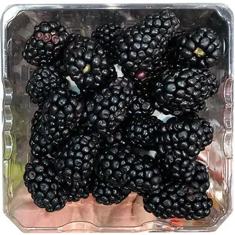 Blackberries