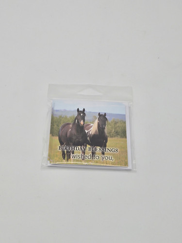 Mini Cards- Birthday Blessings 4ct.