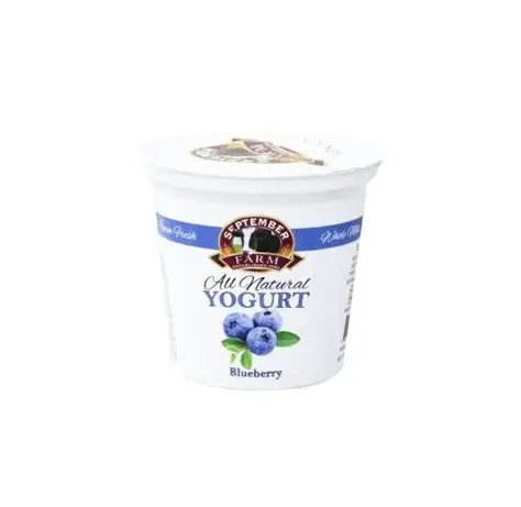 Blueberry Yogurt 6 oz.