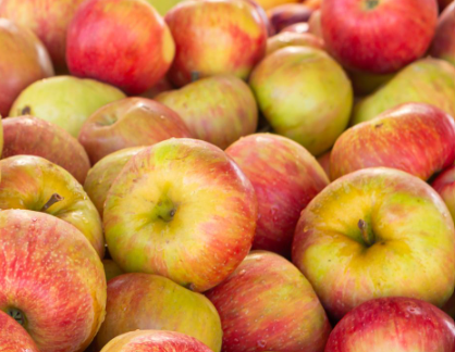 Local Honey Crisp Apple