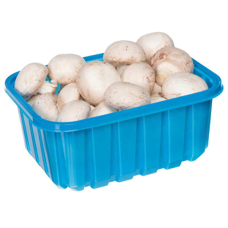 Fresh Mushrooms 16 oz.