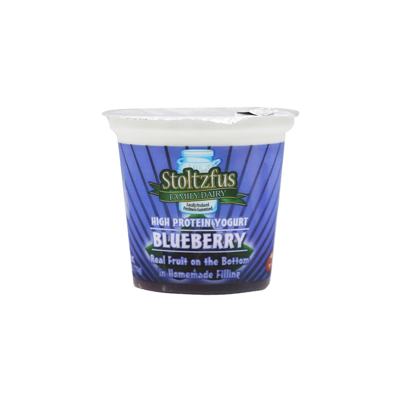  Yogurt- Blueberry 6 oz. ST