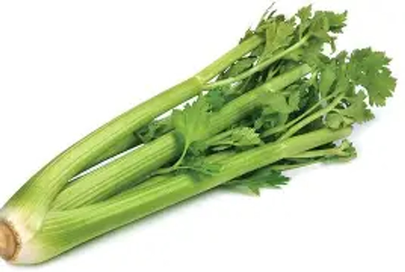 Celery