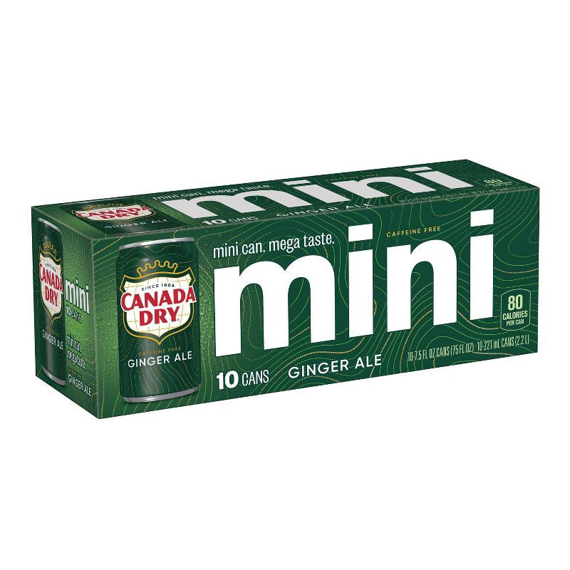 Ginger Ale Mini 10 PK