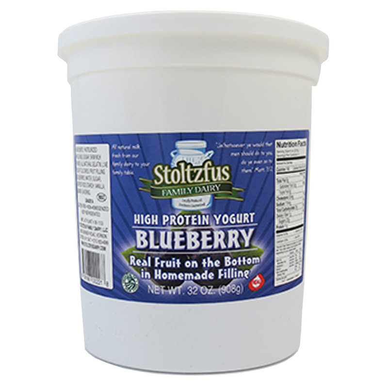Blueberry Yogurt
