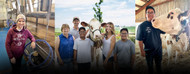 Raising happy, healthy milking cows at Hilltop Dairy