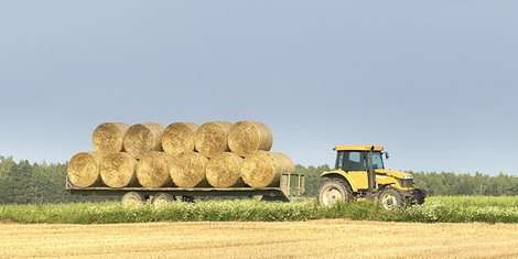Quick Thinking: How a Kansas Farmer Became an Expert Entrepreneur