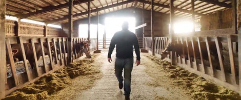 Meet TDF Honest Farming: 4th Generation Transparency