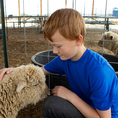 Kids Legendary Tee soft triblend shirt of polyester, cotton, rayon with taped seams and neck.