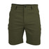 Triad Traveler Short