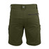 Triad Traveler Short