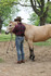 KEY Aristocrat KWP Modern Fit Slim Leg Jeans