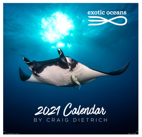 2021 Exotic Oceans Calendar Tactical Girls