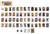 2027 Tactical Girls Playing Cards - Single Deck