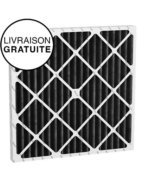 20x20x1 Filtre Fournaise au charbon Camfil CityPleat