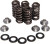 Valve Spring Kit