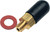 Vacuum Adapter w/Cap