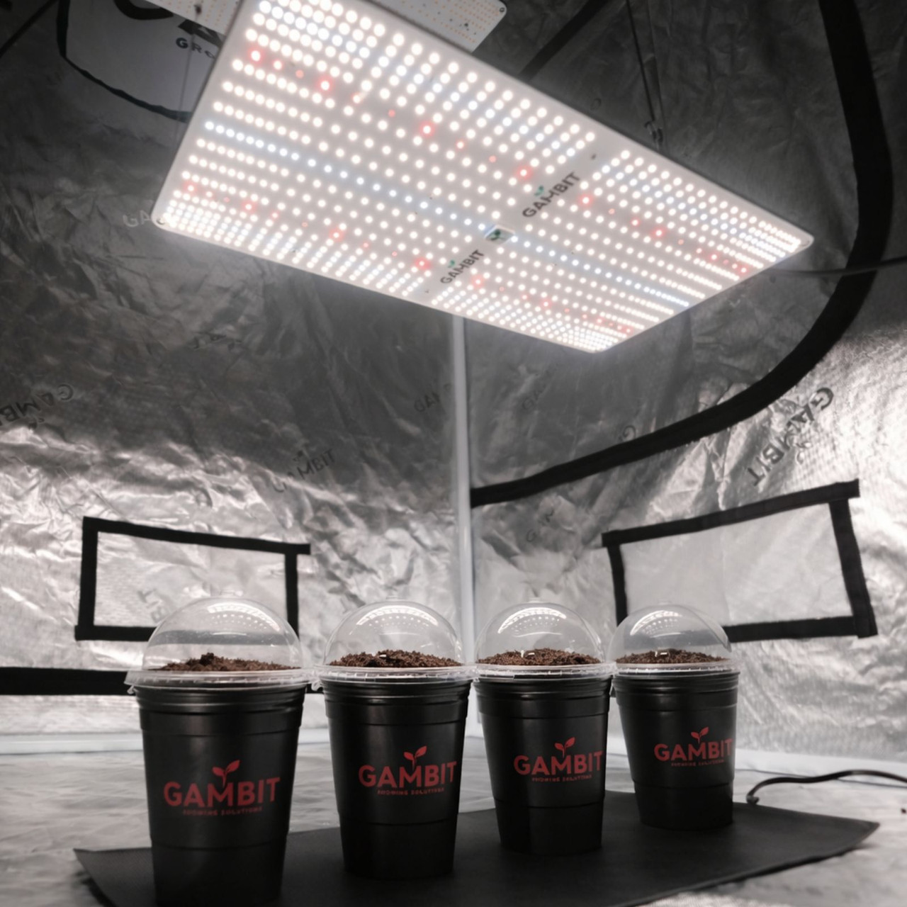 Gambit GG 240wFull Spectrum LED Grow Light 115W, 4x2 Ft. Coverage