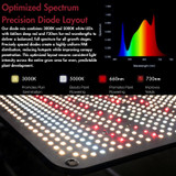 Full spectrum chart for the Gambit Growing 240W LED grow light illustrating 3000K and 5000K white LEDs with 660nm deep red and 730nm far-red wavelengths.