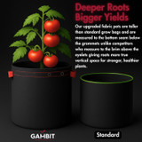 Side-by-side comparison of a tall fabric grow pot versus a standard grow bag, highlighting improved root development, airflow, and air pruning in the upgraded design for healthier tomato plants.