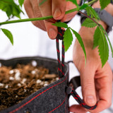 Gambit Growing low stress training rope securing a plant branch to a fabric pot eyelet, demonstrating canopy control included with the 3x3 grow kit