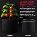 15 gallon fabric grow pot compared to standard grow bags, providing expanded root zone and increased soil volume for stronger, higher-yielding plants