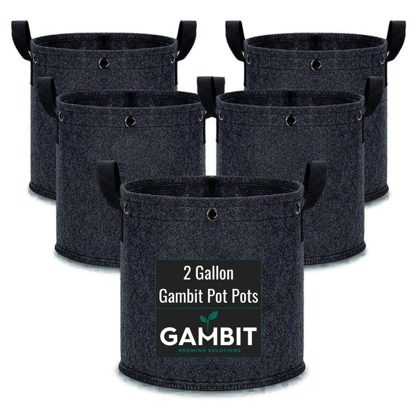 gambit-fabric-pot-5-pack-1.5gal-unwoven-eyelets-LST gambit-fabric-pot-5-pack-1.5gal-unwoven-eyelets-LST