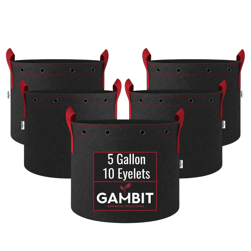 20 Gallon - Linered Heavy Duty Reusable Fabric Pots, 5-Pack