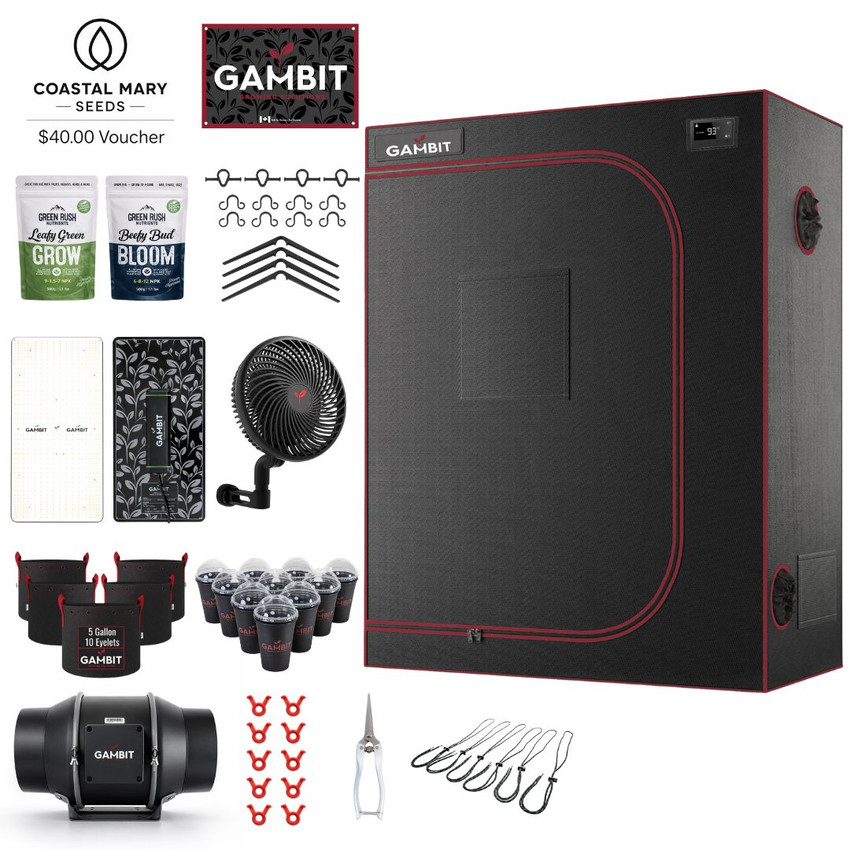 Complete Gambit Growing 4x2 Bud Bunker grow kit showing grow tent, full spectrum LED grow light, inline fan, oscillating clip fan, fabric pots, organic nutrients, training accessories, and propagation supplies