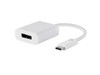 COMTOP USB 3.1 Type-C (M) to DisplayPort (F) Video Adapter 