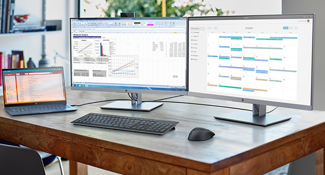 Two Monitors HP EliteDisplay E243 24" Vertical HDMI