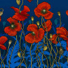  Mpressions Where the Poppies Grow Scarf