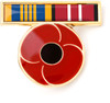  DLSM & ADM Ribbon Poppy Lapel Pin The Defence Long Service Medal may be awarded to a member who has, on or after 14 February 1975, completed 15 years qualifying remunerated service in the Australian Defence Force. This includes effici