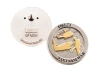  Vietnam War Limited Edition Lapel Pin