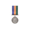 AOSM - Border Protection Medal
