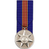 Centenary Medal