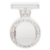  Defence Long Service Medal (DLSM)