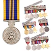  Defence Long Service Medal (DLSM)