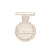  Defence Long Service Medal (DLSM)