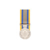  Defence Long Service Medal (DLSM)