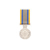  Defence Long Service Medal (DLSM)