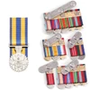  Defence Force Service Medal (DFSM)