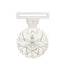  Defence Force Service Medal (DFSM)