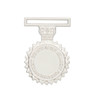  Defence Force Service Medal (DFSM)