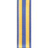  Defence Force Service Medal (DFSM)