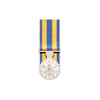  Defence Force Service Medal (DFSM)