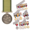  National Emergency Medal (NEM)