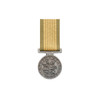  National Emergency Medal (NEM)