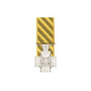  Conspicuous Service Cross