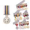  National Police Service Medal (NPSM)